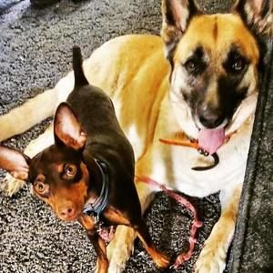 Meet your Posher, Leslie